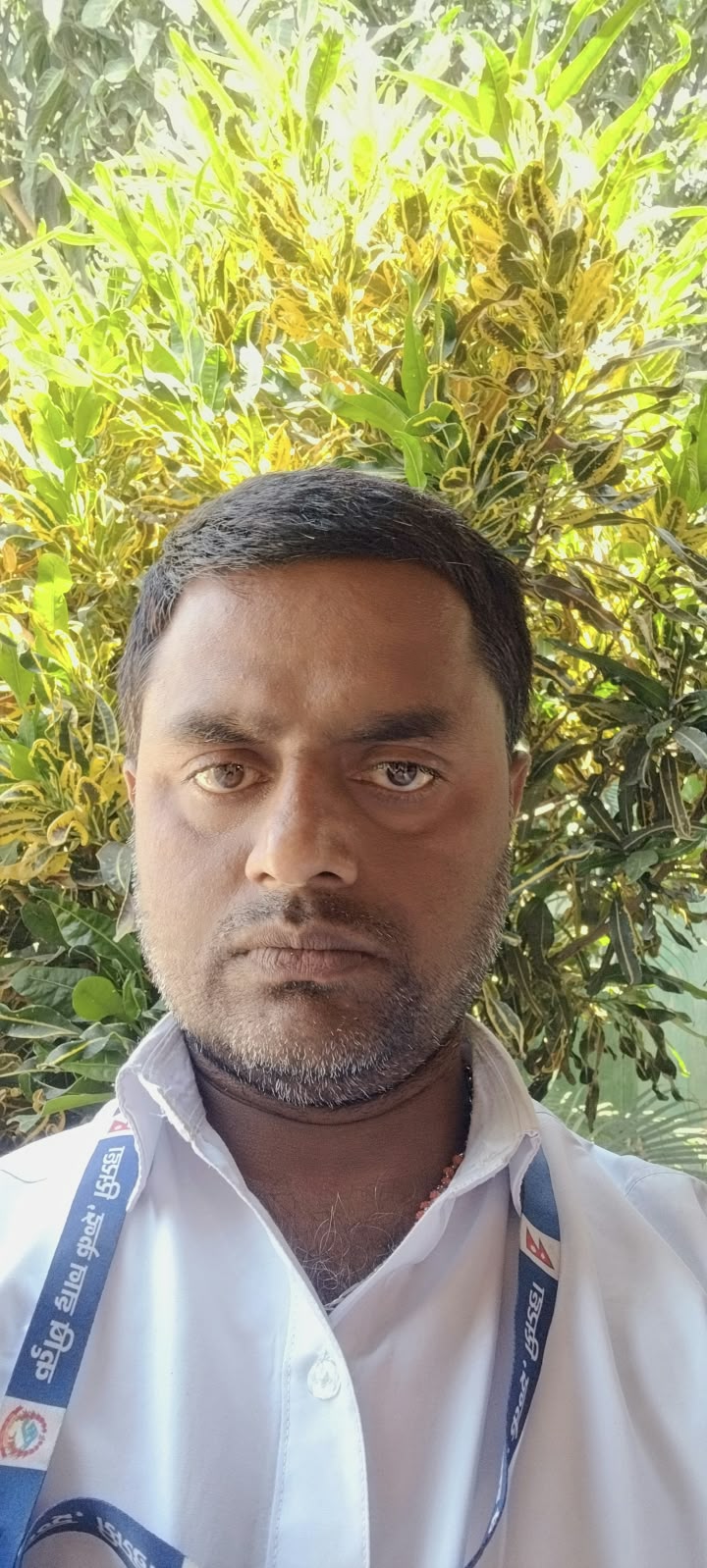 चितरंजन कुमार सुरैत