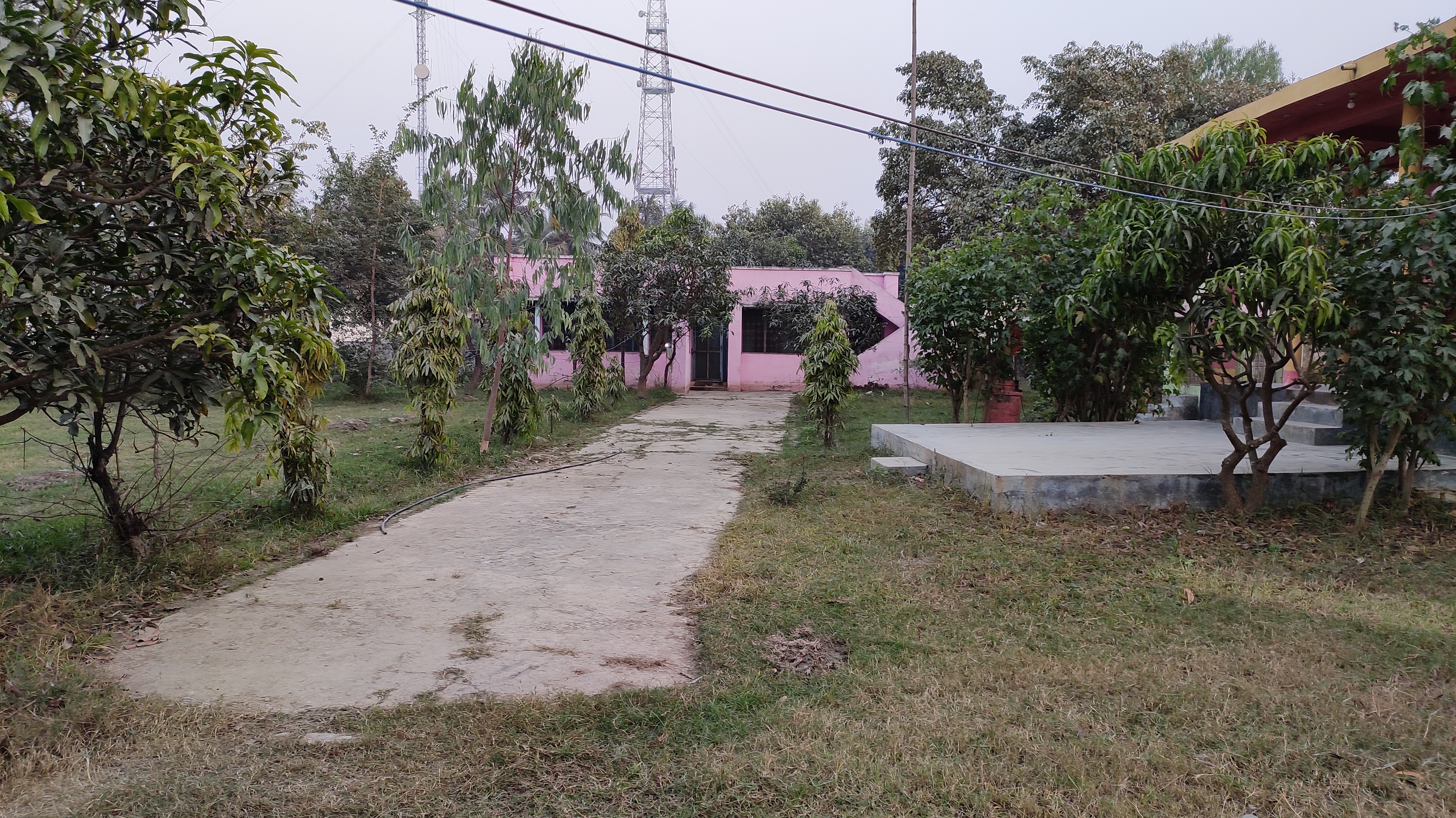 office